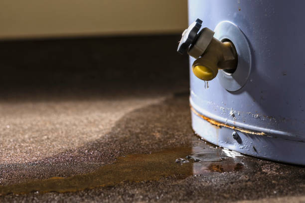 Best Water damage contractors near me  in Toledo, OH