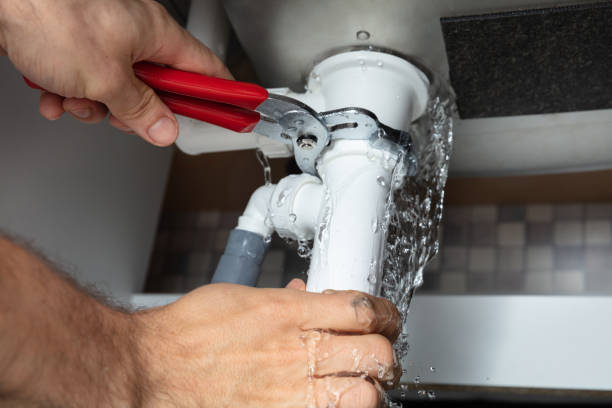 Best Water damage contractors near me  in Toledo, OH