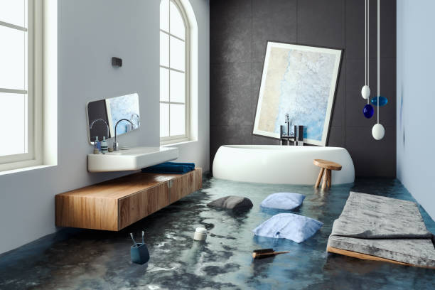 Best Mold removal after water damage  in Toledo, OH