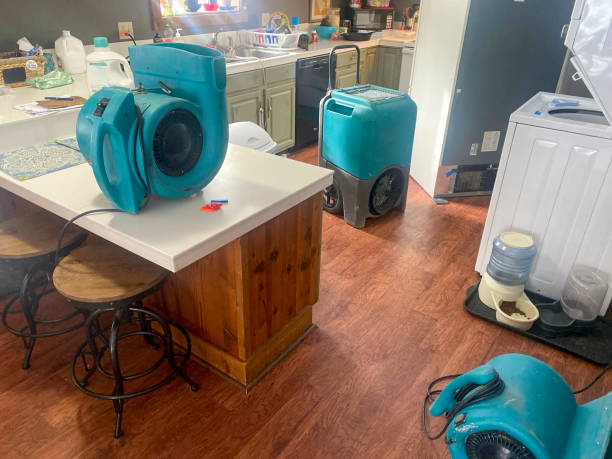 Best Ceiling water damage repair  in Toledo, OH