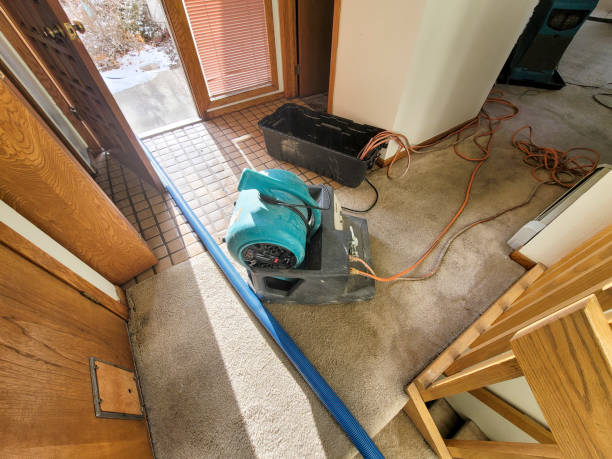 Best Flood damage cleanup  in Toledo, OH