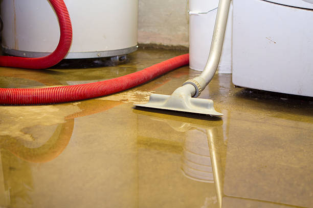 Best Fire Damage Restoration  in Toledo, OH