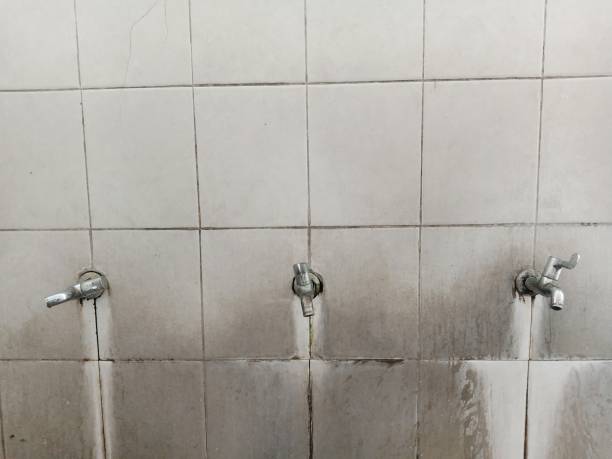 Best 24-hour water damage restoration  in Toledo, OH