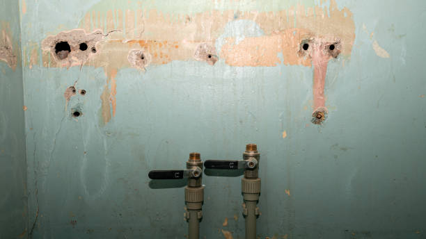  Toledo, OH Water damage restoration Pros
