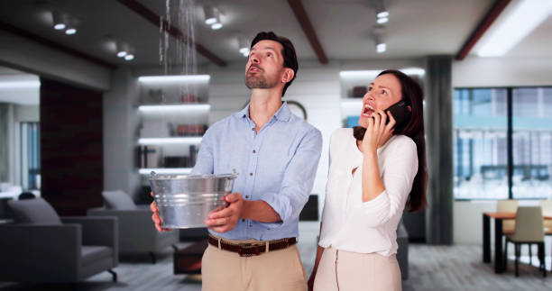Best Commercial water damage restoration  in Toledo, OH