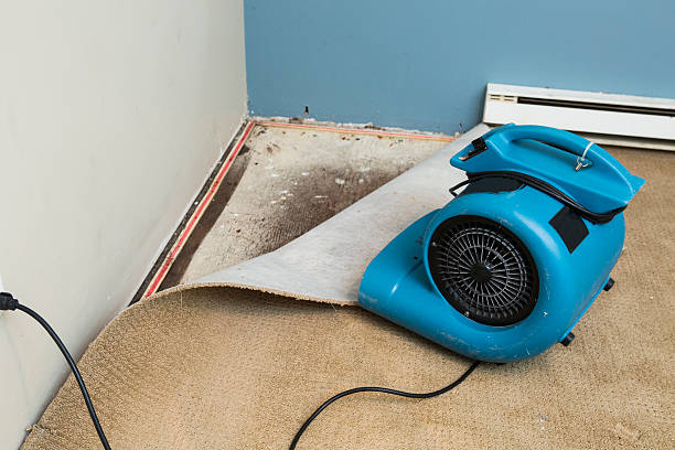 Best Flooded house restoration  in Toledo, OH
